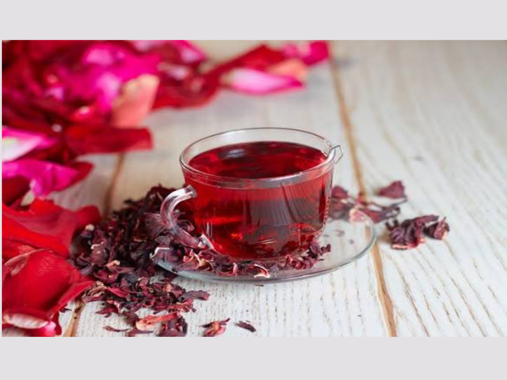 hibiscus tea cup